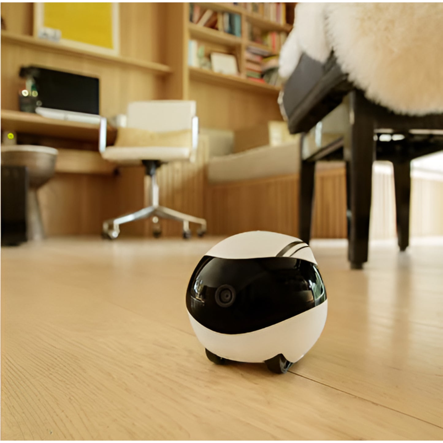 HaloHaus Nova Companion Smart Home Robot