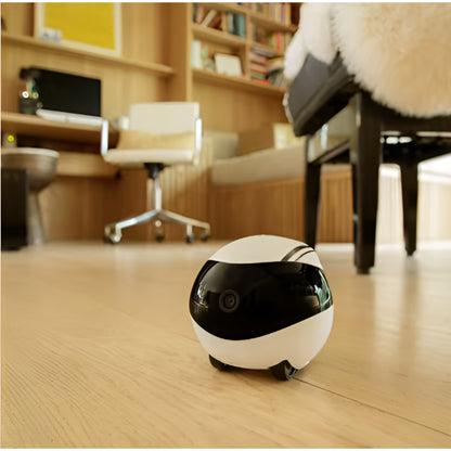 HaloHaus Nova Companion Smart Home Robot